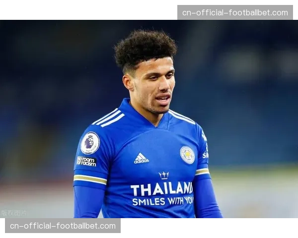 “黑马”褪色：回顾布莱顿本赛季高开低走，最终位列中游的原因